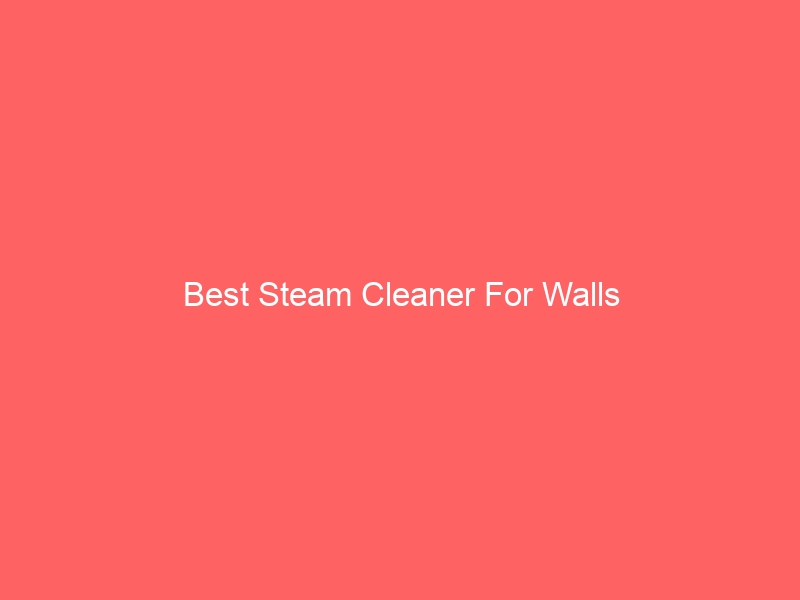 Read more about the article Best Steam Cleaner For Walls