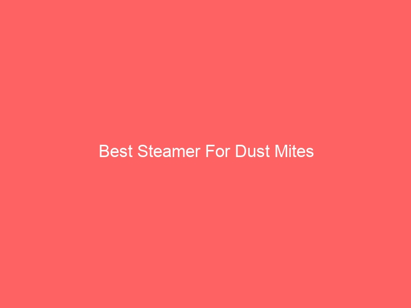Read more about the article Best Steamer For Dust Mites