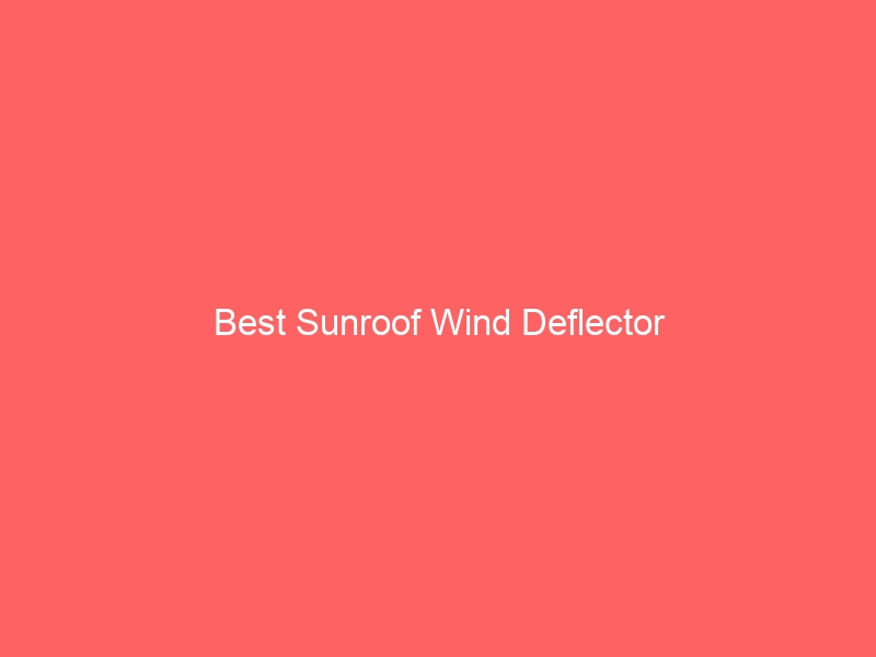 Read more about the article Best Sunroof Wind Deflector