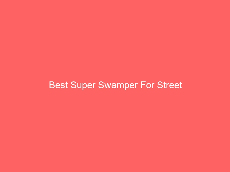 Read more about the article Best Super Swamper For Street