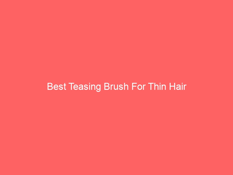 Read more about the article Best Teasing Brush For Thin Hair