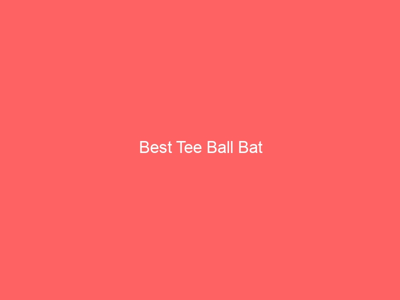 Read more about the article Best Tee Ball Bat