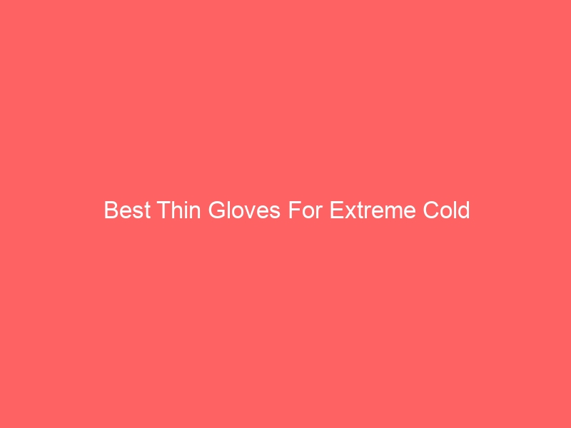 Read more about the article Best Thin Gloves For Extreme Cold