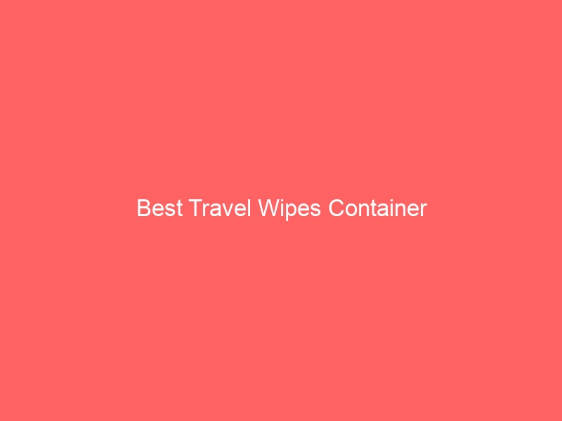 Read more about the article Best Travel Wipes Container