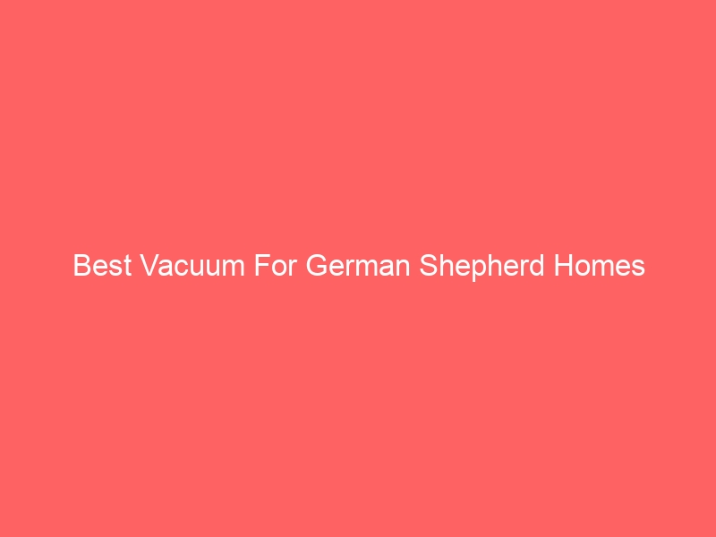 Read more about the article Best Vacuum For German Shepherd Homes