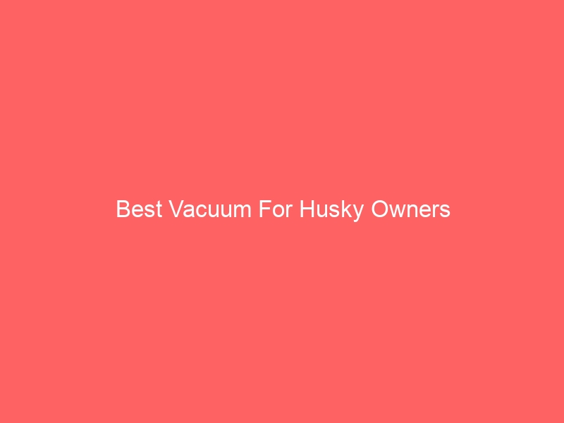 Read more about the article Best Vacuum For Husky Owners