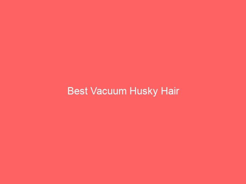 Read more about the article Best Vacuum Husky Hair