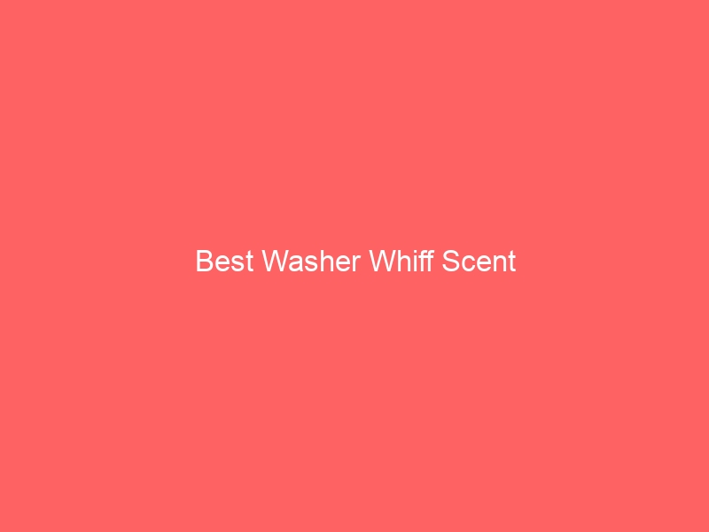 Read more about the article Best Washer Whiff Scent