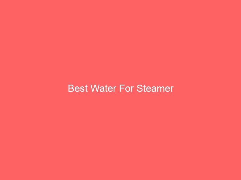 Read more about the article Best Water For Steamer