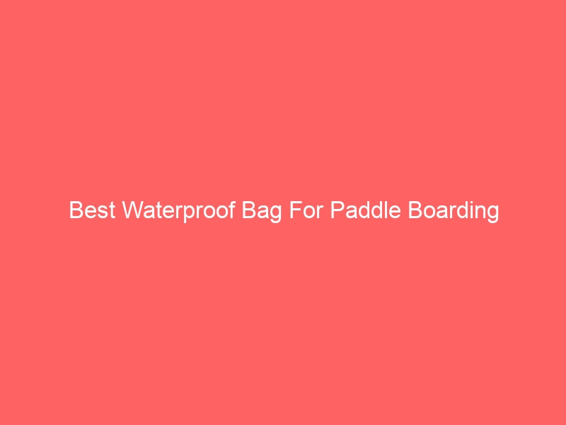Read more about the article Best Waterproof Bag For Paddle Boarding