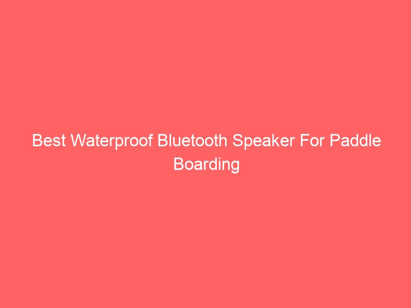 Read more about the article Best Waterproof Bluetooth Speaker For Paddle Boarding