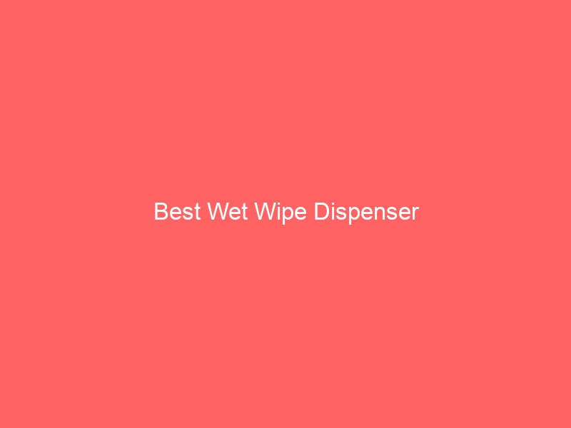Read more about the article Best Wet Wipe Dispenser