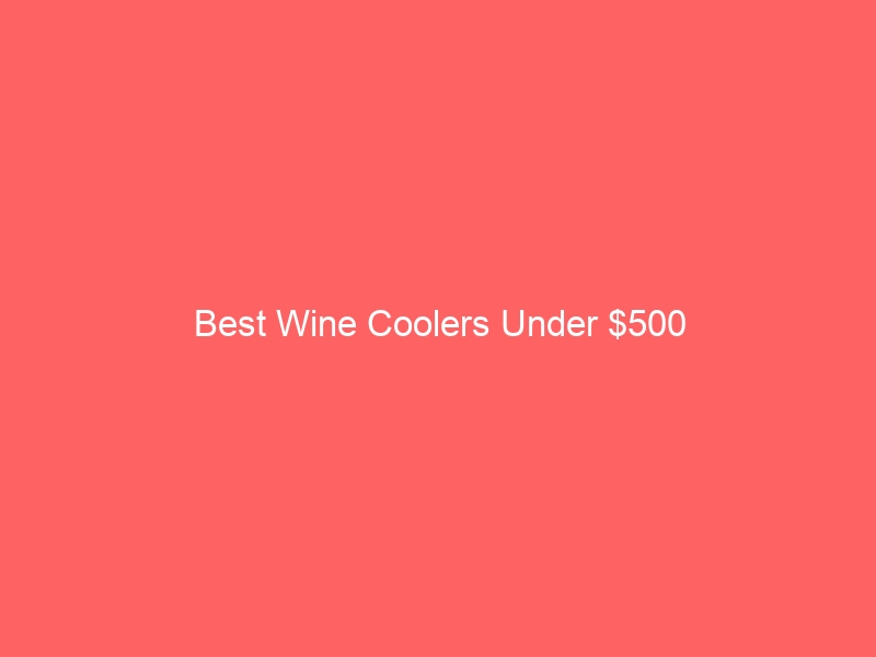 Read more about the article Best Wine Coolers Under $500