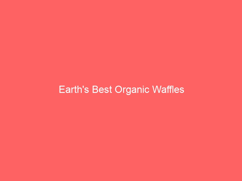 Read more about the article Earth’s Best Organic Waffles