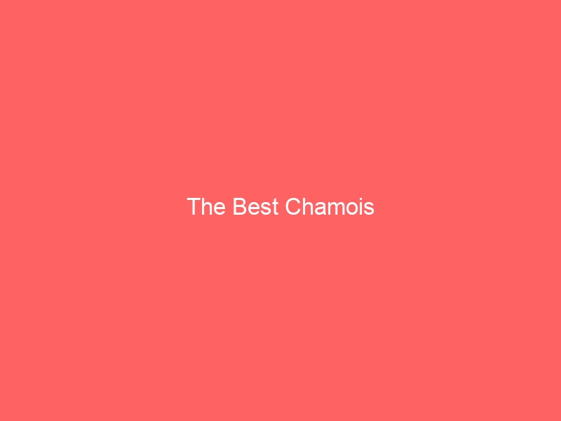 Read more about the article The Best Chamois
